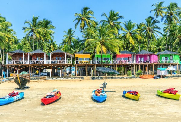 Wild North Goa package